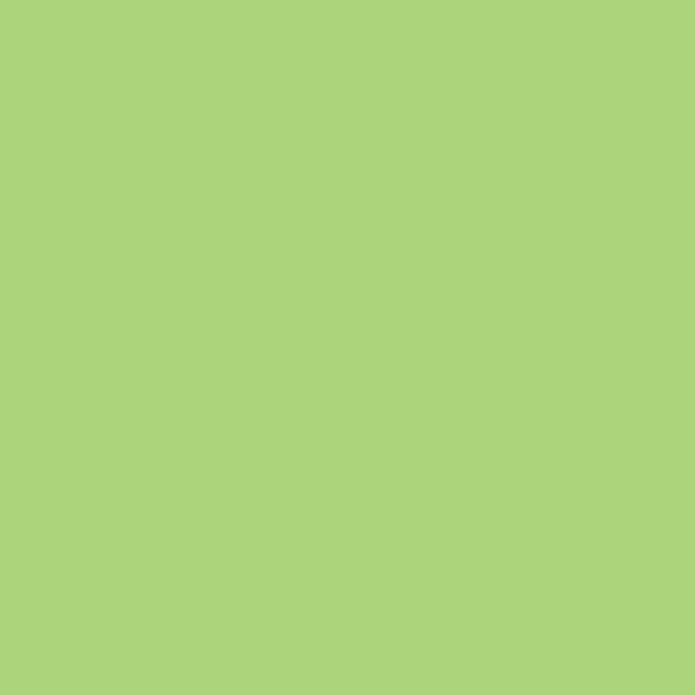 Daler Rowney, FW, Acrylic Ink, 1oz, Light Green